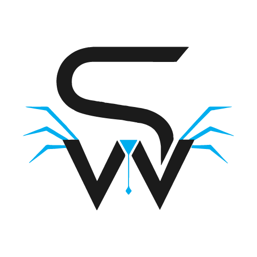 spiderweb ae - web design development services
